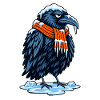 Eisrabe mit Orangen Schal