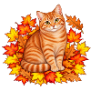 Herbstkatze in Blätterpracht