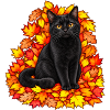 Schwarze Katze im Herbstlaub