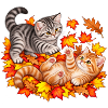Herbstkätzchen im Herbstlaub