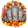 Katzentrio im Herbstlaub