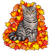 Herbstkatze in bunten Blättern