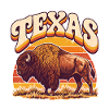 Texas-Bison im Retro Sonnenuntergang