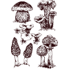 Champignons