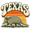 Texas Armadillo Retro Sonnenuntergang