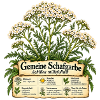 Schafgarben Motiv - Geschenk Gartenfreund