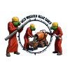 Papageien bauen