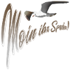 Moin ihr Spacken Möwe