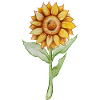 Sonnenblumen-Aquarellblüte