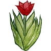 Tulpen-Aquarellblüte