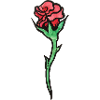 Rose Bloom Aquarell