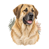 Sarabi