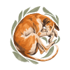Der Hund schläft