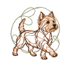 West Highland White Terrier
