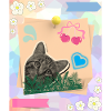 Cat_and_notes_-4500_x_5400_px-