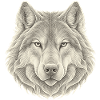 Wolf Konturlinien – 3D Line Art