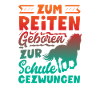 Lustiges Pferdemädchen & Reiter Spruch Geschenke