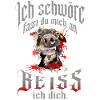 Beißender Hund Spruch
