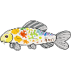 Koi-BogenBunter Spritzer