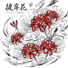 Japanische Black Red Lily
