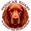 Celtischer Irish Setter Kreis
