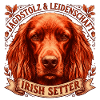 Irish Setter: Stolz und Leidenschaft