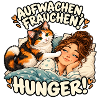 Aufwachen Frauchen Hunger Katze