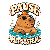 Pause mit System Capybara
