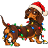 Lustiger Weihnachtsdackel mit bunter Lichterkette