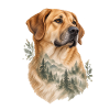 Sarabi