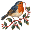 Rotkehlchen mit rotem Faden — Gartenvogel