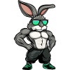 Fitness Hasen