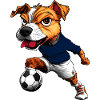 JRT Fussball