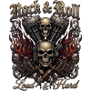 Rock & Roll Skull Flames 
