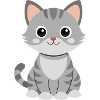 Baby-Katze