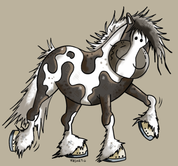 Taciana, la Jument Irish Tinker