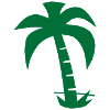 palm