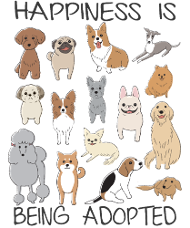 Motif race canine