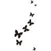 butterflies