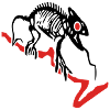 Gecko, Eidechse, Computer