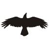CROW