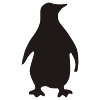 Pinguin