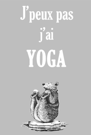 Ours Yogiste : Zen et Drôle sur sa Banquise