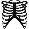 Brustkorb
