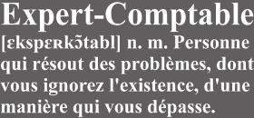 Découvrez notre t-shirt humoristique 'Définition : Expert-Comptable'. Un cadeau parfait pour les pros des chiffres et les amateurs de blague...