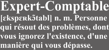 Définition de l'Expert-Comptable | T-Shirt Humour Métier