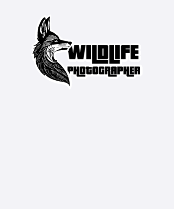 wildlife photographer