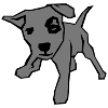 Chiot