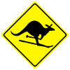 roadsign kangaroo