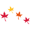 Feuilles d'automne